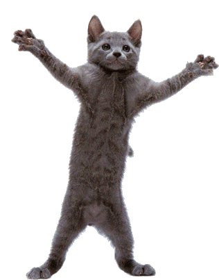 cats dancing